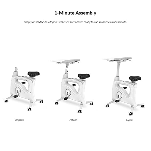 FLEXISPOT V9 höhenverstellbares Tischfahrrad mit Arbeitsplatte - 9